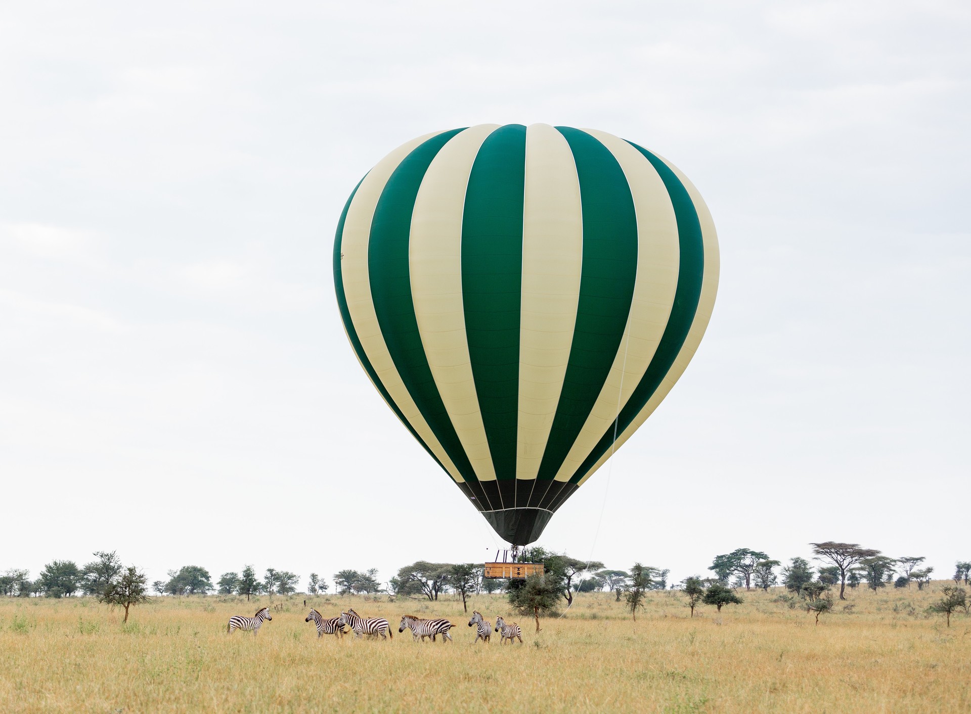 Hot Air Balloon Safari