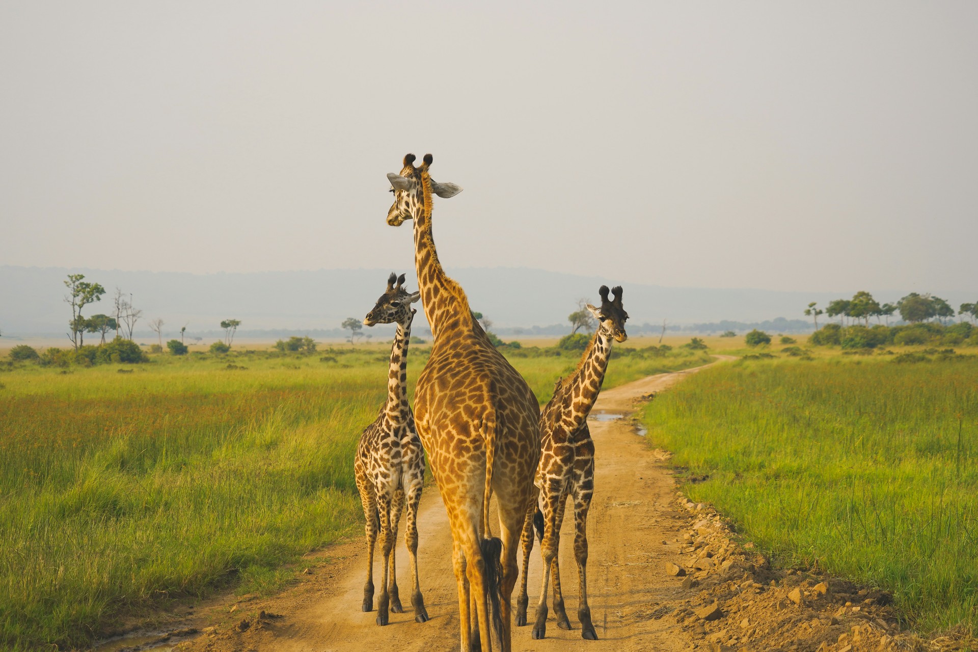 Lake Manyara National Park