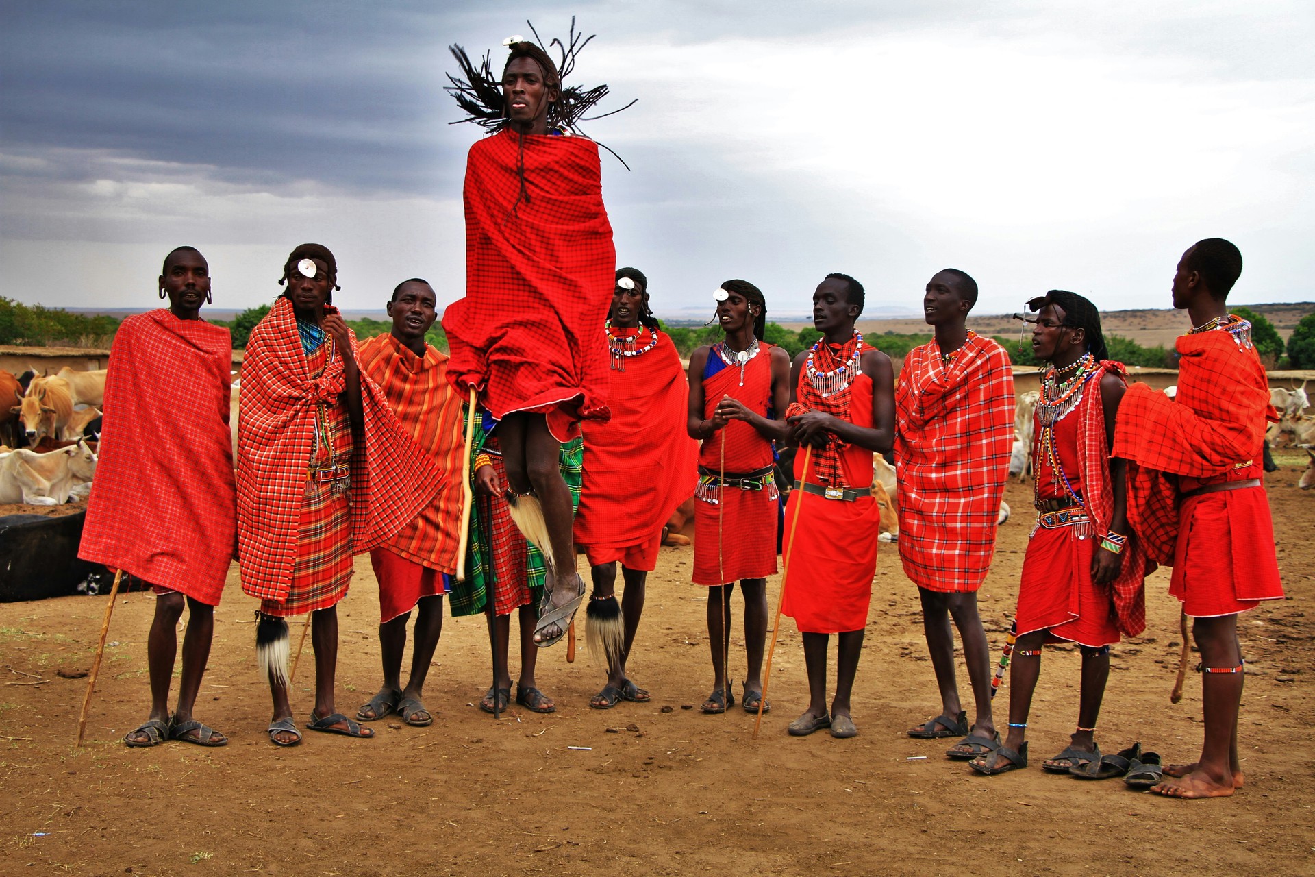 Maasai men performing the traditional Adumu jumping dance in a cultural village in Tanzania