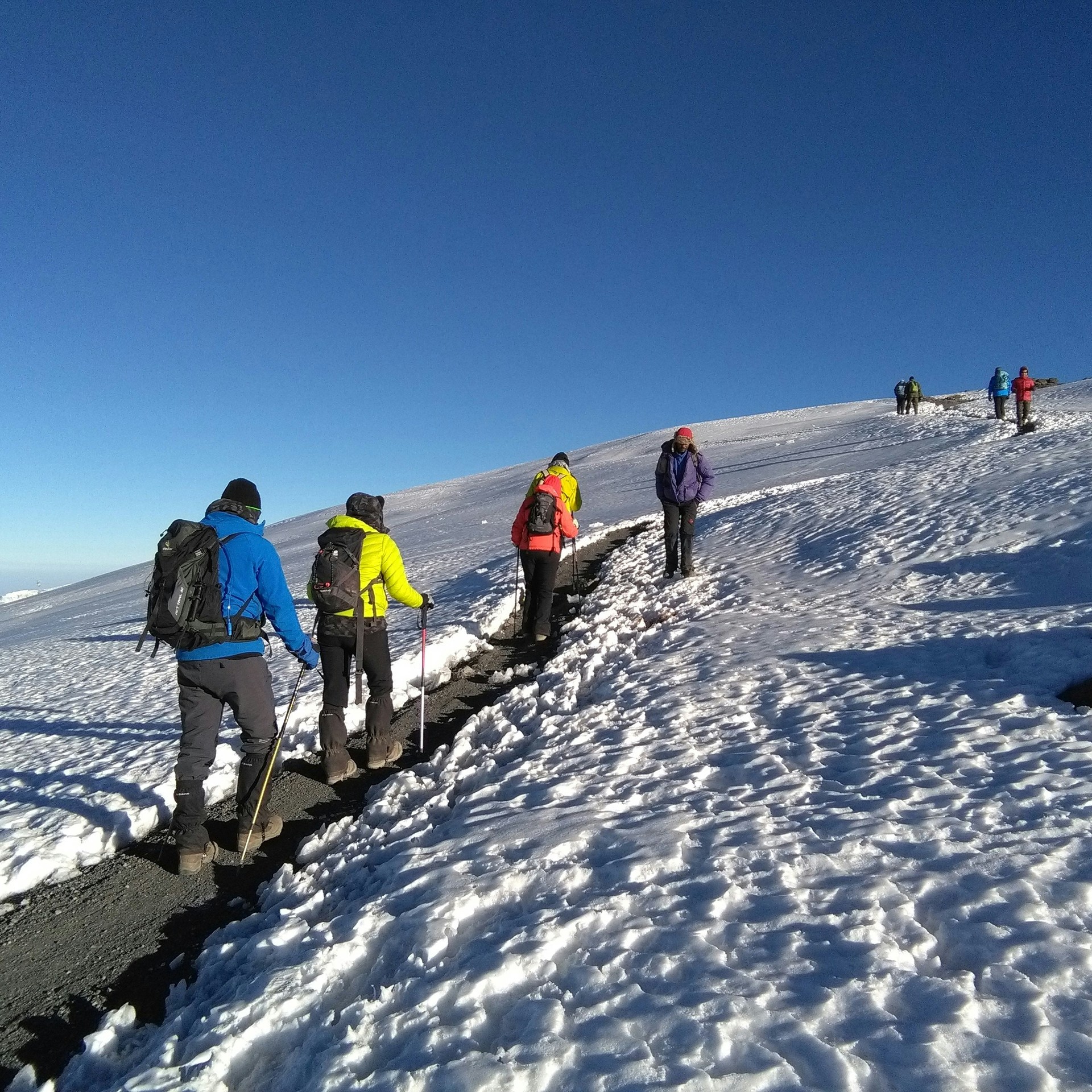 Kilimanjaro Routes Compared: Which Trail Fits You Best?