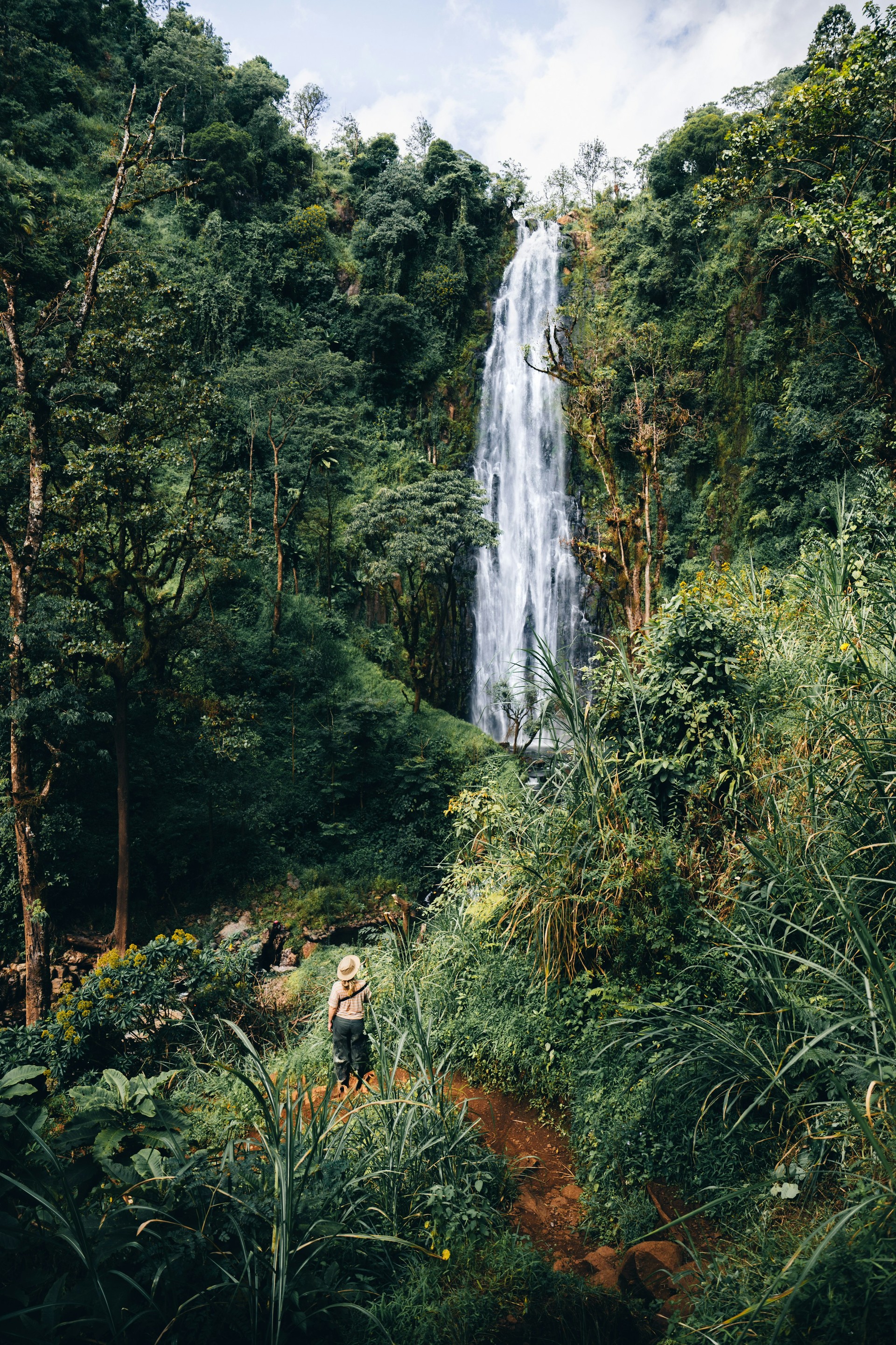 Materuni Waterfall, Coffee Tour & Picnic Hot Lunch