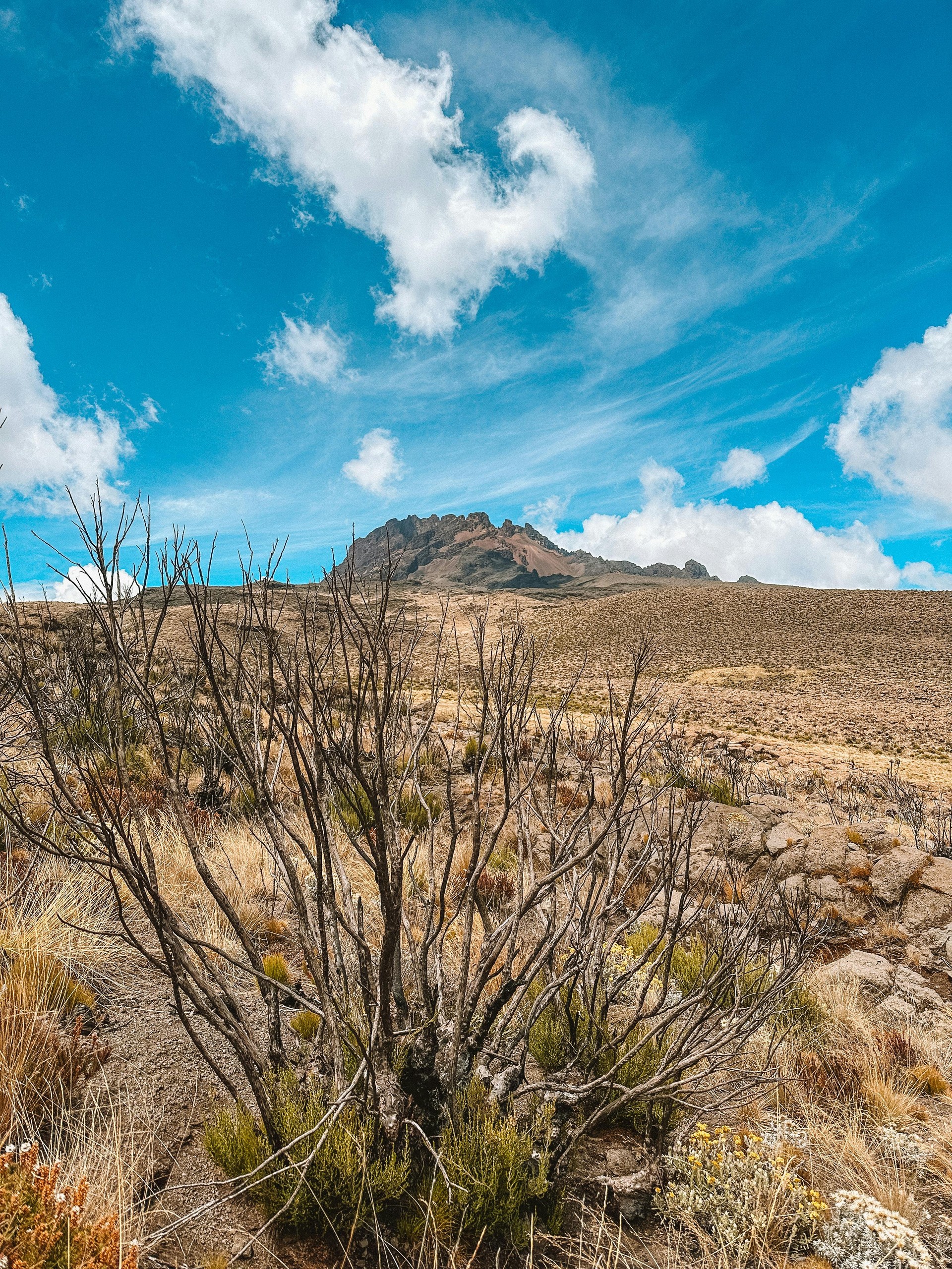 Kilimanjaro Day Hike Marangu Route
