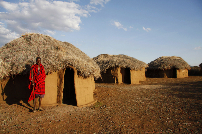 Safari Photography: A Beginner's Guide