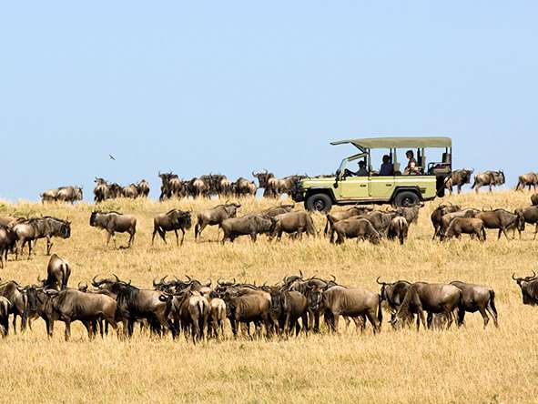 What to Pack for a Tanzania Safari