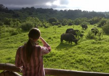 Wildlife Encounter