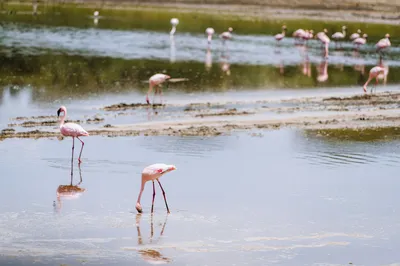 Arusha National Park