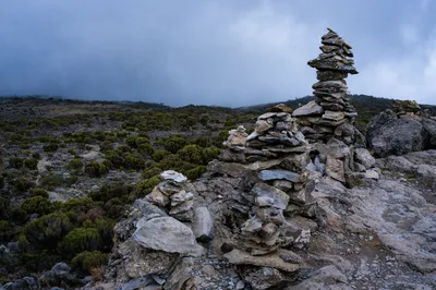 Rock cairns marking a hiking route on Mount Kilimanjaro surrounded by misty alpine terrain and volcanic landscapes.