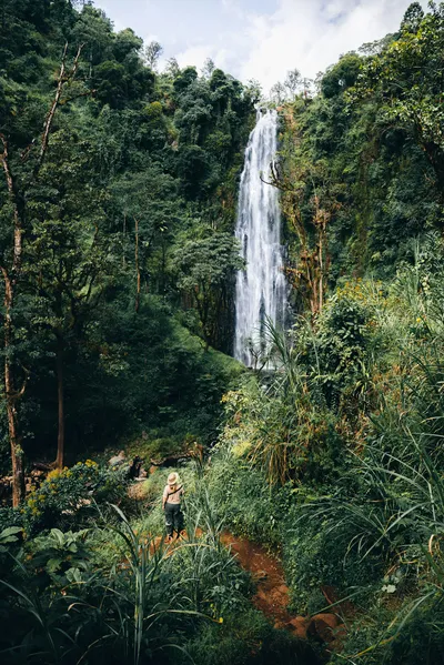Materuni Waterfall, Coffee Tour & Picnic Hot Lunch